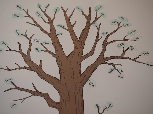 strom rodokmen